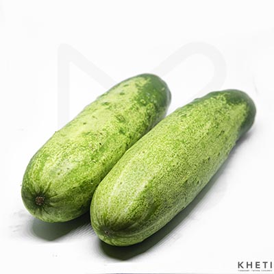 Cucumber local (Kakro)